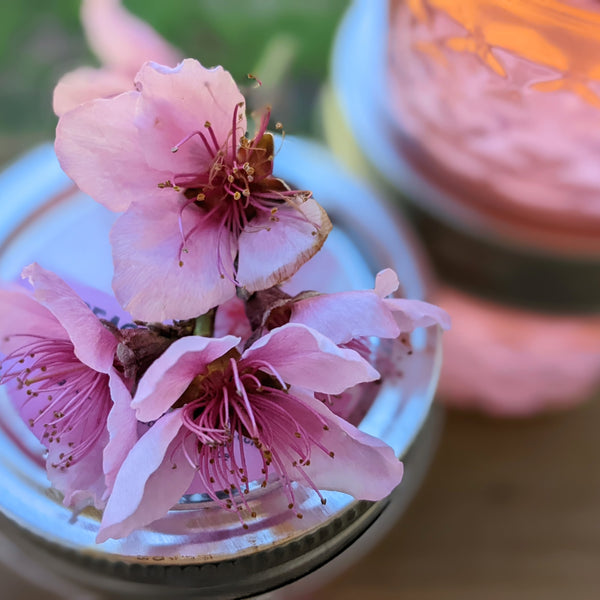 Peach Blossom Floral Jelly - 2023 Batch Sold Out!